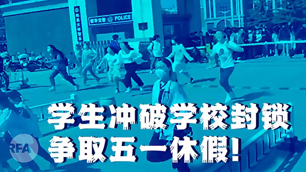 9353199a-b706-427e-b85a-40d97c78d9dc.jpg
