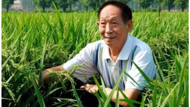 Yuanlongping.jpg