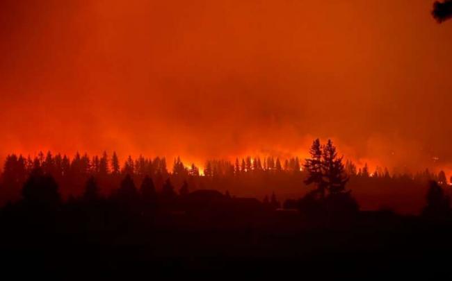 _119246378_0e110595-68c8-4f83-9c4c-eb8589527bd5.jpg