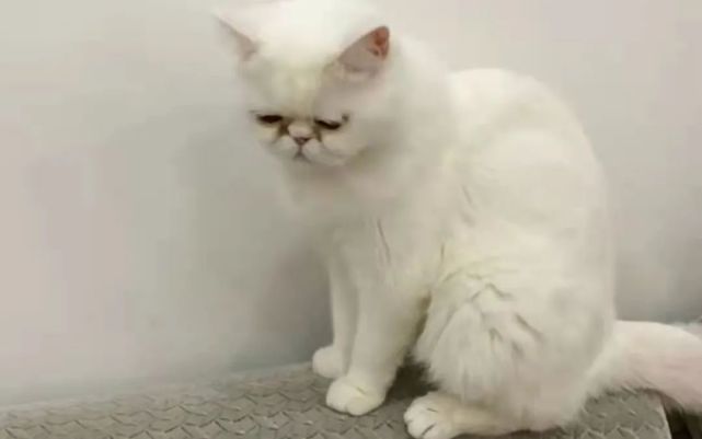 ͼƬ