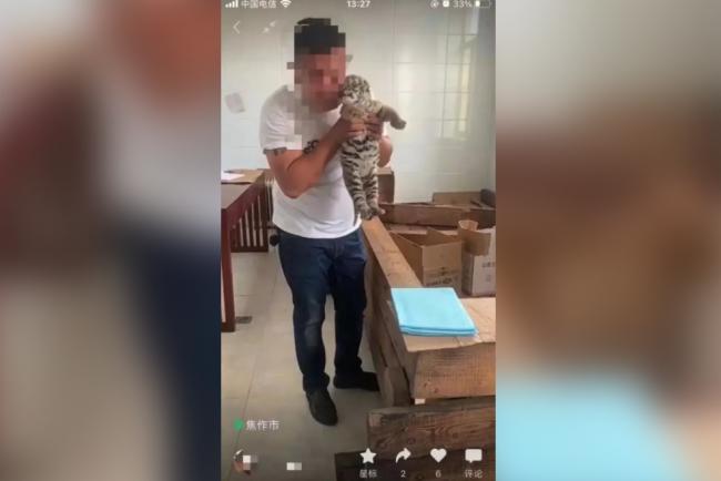 ������ô�����ӻ������������� �ϵױ���