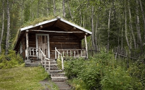 俄罗斯森林中常见小木屋，导游：别好奇进去