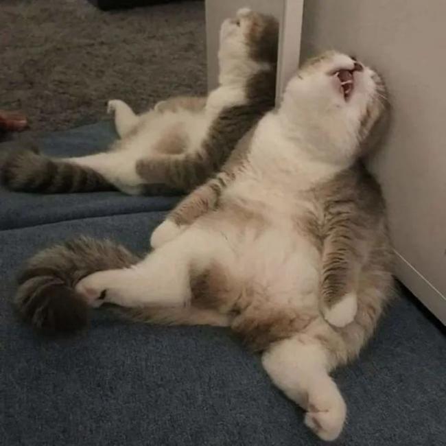 202507_17525357337413.jpg 640 (3).jpg