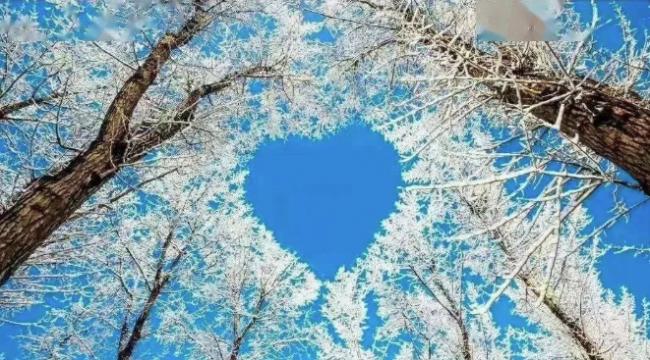 202508_17545096067365.png Capture.PNG