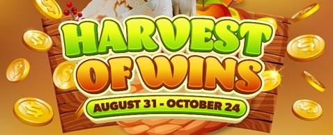 202509_17582367676242.jpg WeChat image _ 006.jpg