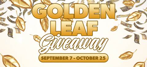 202509_17582368109780.jpg WeChat image _ 007.jpg