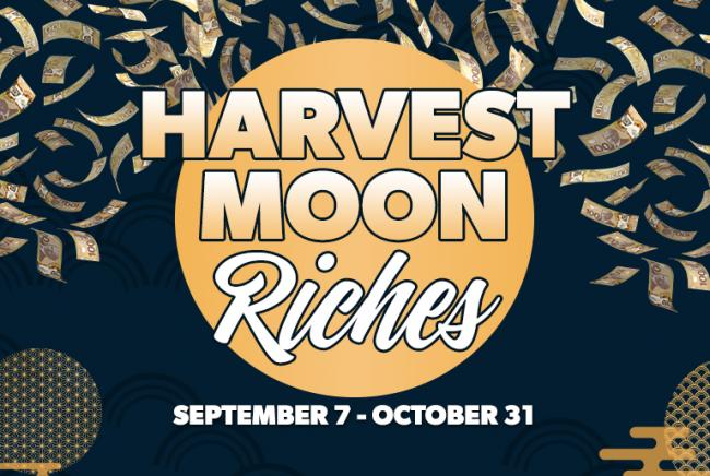 202509_17582370933126.png WeChat image _ 015.png