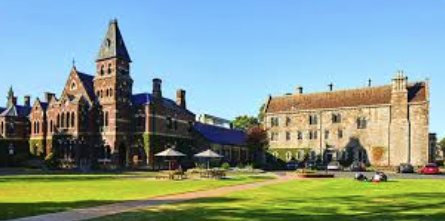 202509_17586564689514.png Capture.PNG