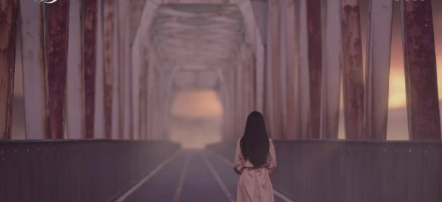 202510_17600360265352.png Capture.PNG