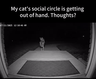 202511_17628076913514.gif 640 (2).gif