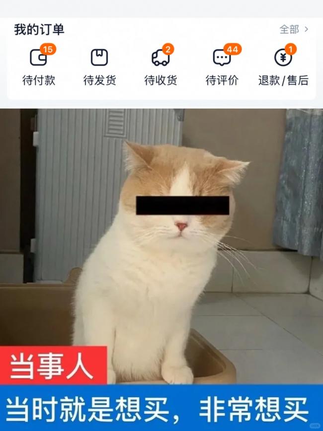 202511_17642014653814.png 640 (3).png