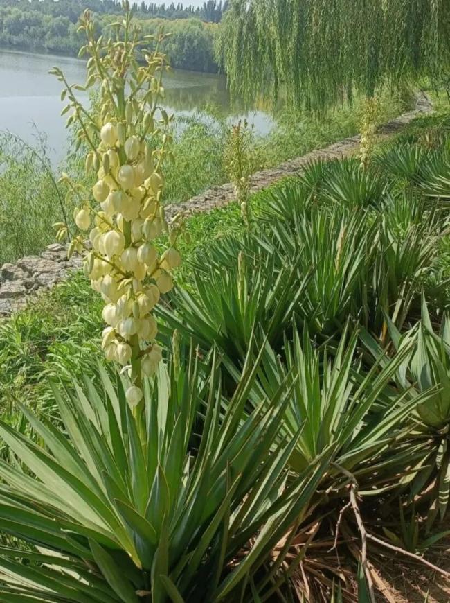 202511_17642019391625.jpg 640 (9).jpg