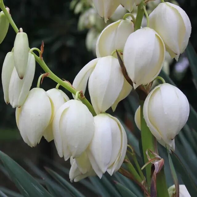 202511_17642019912406.jpg 640 (11).jpg