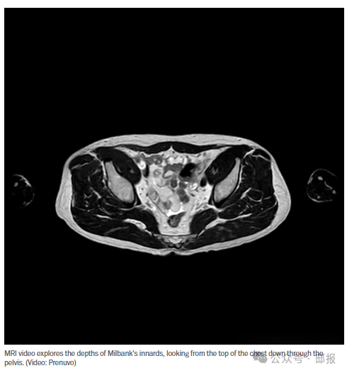 202512_17658403281640.png 640 (1).png