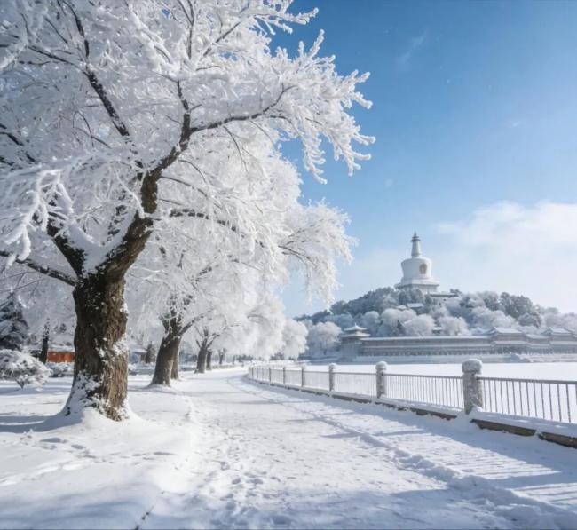 202512_17661826733285.jpg 640 (2).jpg