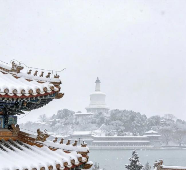 202512_17661826899818.jpg 640 (3).jpg