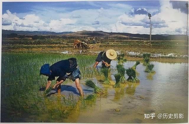 永别了....飞虎队员眼中的中国1944~1945 永别了....飞虎队员眼中的中国1944~1945