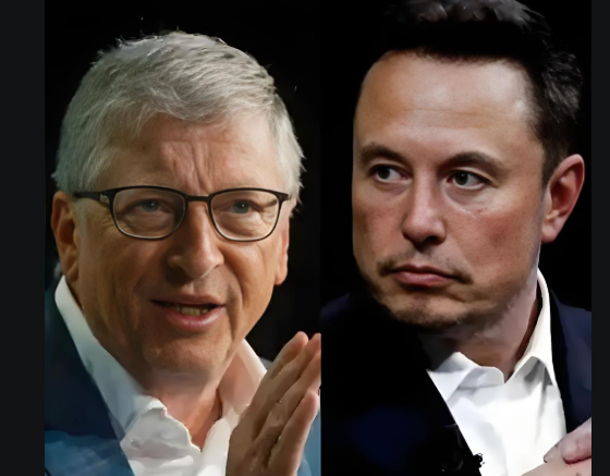 马斯克回复:他是个大骗子 马斯克回复:他是个大骗子