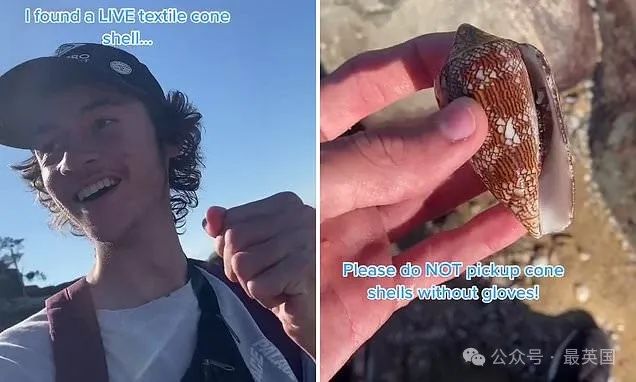 男子捡到罕见漂亮贝壳 网: 你与死神擦肩而过 男子捡到罕见漂亮贝壳 网: 你与死神擦肩而过