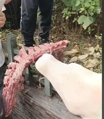 学校食堂又出事了 学校食堂又出事了