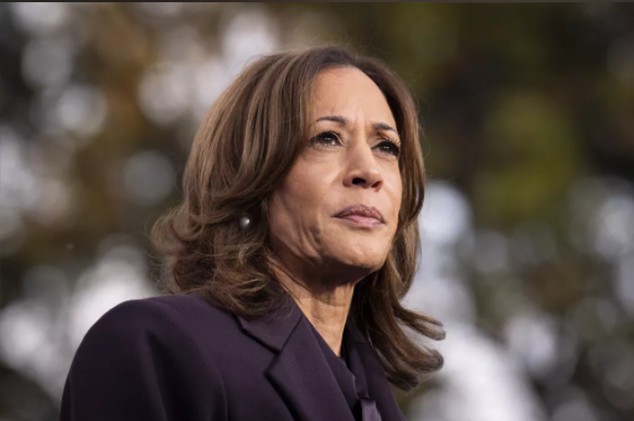 放弃2028?贺锦丽计划竞选加州州长 放弃2028?贺锦丽计划竞选加州州长