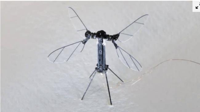 专为隐秘军事任务设计 中国展示“蚊型”无人机 专为隐秘军事任务设计 中国展示“蚊型”无人机