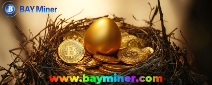 BAY Minerڿûÿ׬ܻ