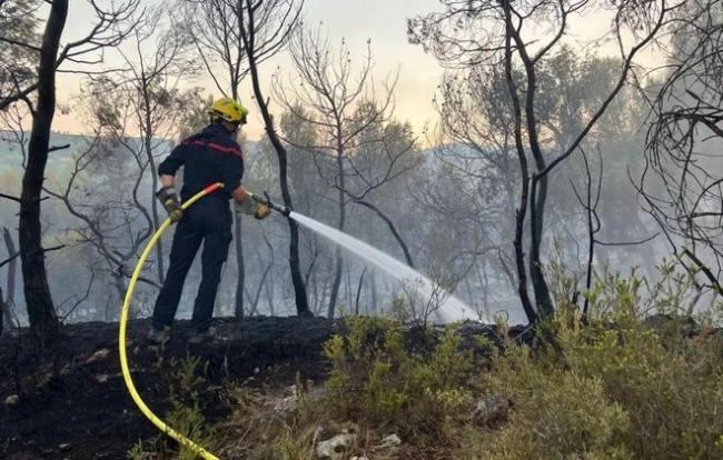 法国男子纵火成瘾 15天烧山31次,停不下来 法国男子纵火成瘾 15天烧山31次,停不下来