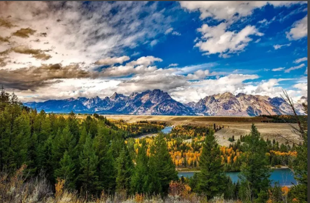 2025年哪些州最吸引退休族 阳光之州褪色 2025年哪些州最吸引退休族 阳光之州褪色