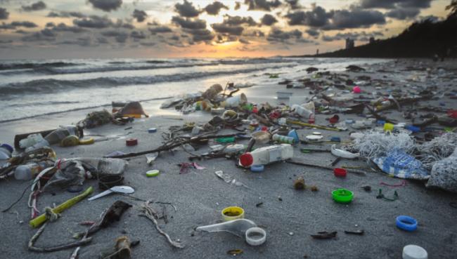 科学家开发“超级材料” 有望取代塑料 科学家开发“超级材料” 有望取代塑料