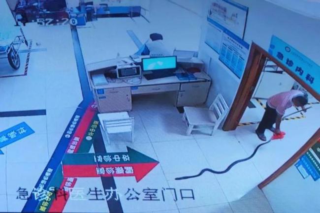 中国老人被蛇咬伤  家属拖2米长“凶手”进医院 中国老人被蛇咬伤  家属拖2米长“凶手”进医院