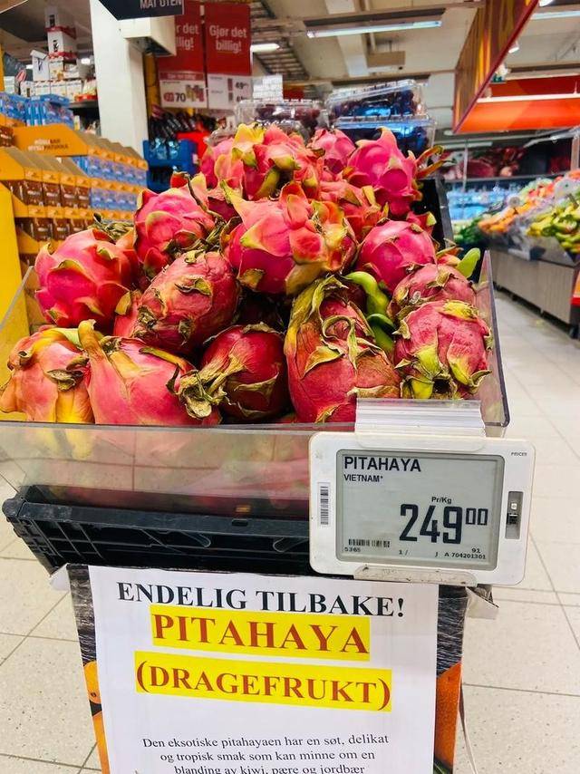 身价140亿中国网红夫妇挪威捡垃圾 叹好东西太多 身价140亿中国网红夫妇挪威捡垃圾 叹好东西太多