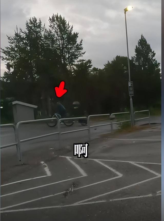 身价140亿中国网红夫妇挪威捡垃圾 叹好东西太多 身价140亿中国网红夫妇挪威捡垃圾 叹好东西太多