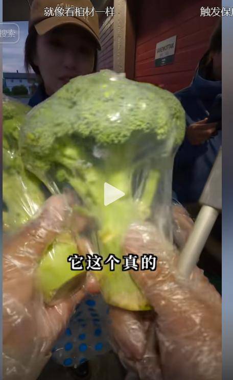 身价140亿中国网红夫妇挪威捡垃圾 叹好东西太多 身价140亿中国网红夫妇挪威捡垃圾 叹好东西太多