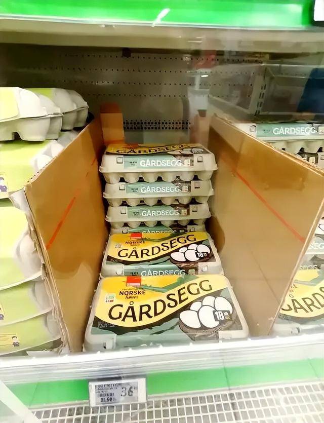 身价140亿中国网红夫妇挪威捡垃圾 叹好东西太多 身价140亿中国网红夫妇挪威捡垃圾 叹好东西太多