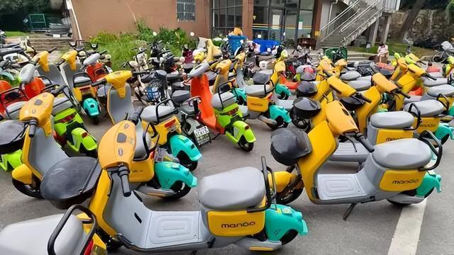 骑共享电动车游武大校园得离谱   校方回应 骑共享电动车游武大校园得离谱   校方回应