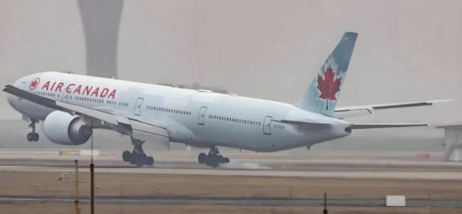 飞往多伦多航班上 这两类家庭为何把孩子送出国 飞往多伦多航班上 这两类家庭为何把孩子送出国