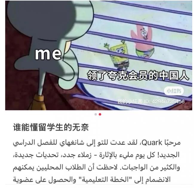 在华留学生沦为“夸克AI难民”,上了热搜 在华留学生沦为“夸克AI难民”,上了热搜