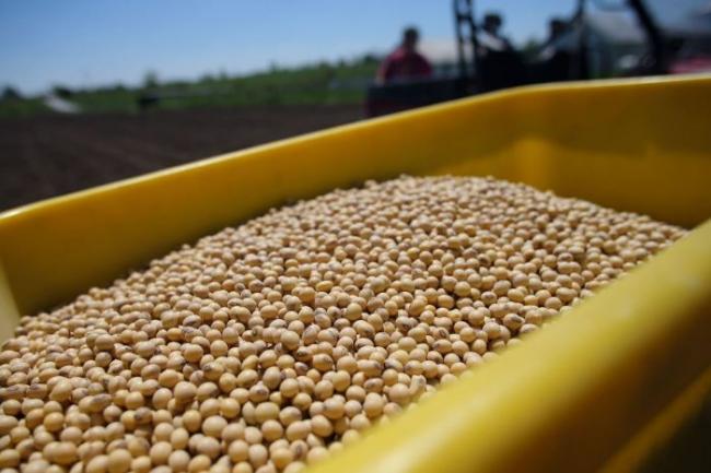 反毒稀土靠边站!北京对美拿出重大谈判筹码 反毒稀土靠边站!北京对美拿出重大谈判筹码