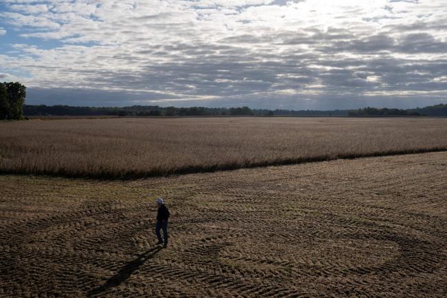 曝习稀土大战真实用意!却不小心玩过火 曝习稀土大战真实用意!却不小心玩过火