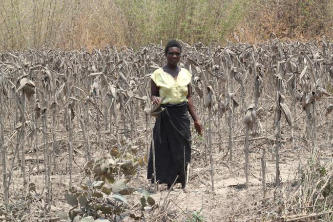 中国长臂施压,赞比亚矿难受害者噤声 中国长臂施压,赞比亚矿难受害者噤声