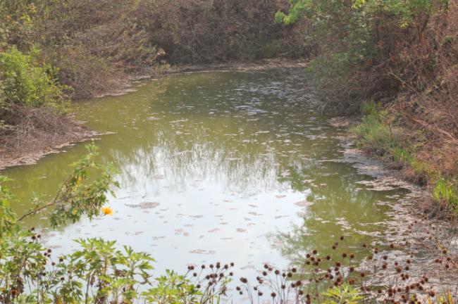 中国长臂施压,赞比亚矿难受害者噤声 中国长臂施压,赞比亚矿难受害者噤声