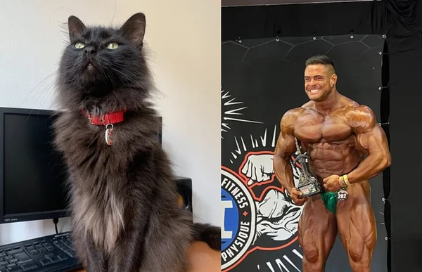 31岁健美冠军突然中风身亡,疑因爱猫去世太伤心 31岁健美冠军突然中风身亡,疑因爱猫去世太伤心