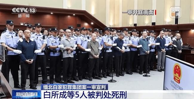 缅甸白家踢铁板!深圳法院判5名主要被告死刑 缅甸白家踢铁板!深圳法院判5名主要被告死刑