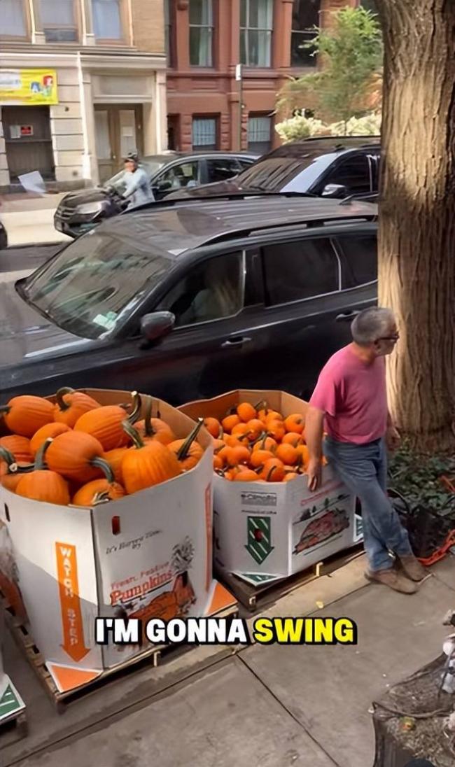 美国人为何不吃这种南瓜 美国人为何不吃这种南瓜