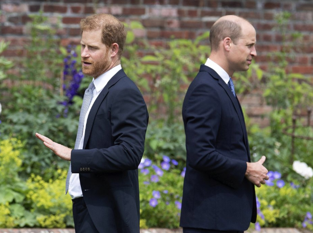 王室惊爆哈利恐被剥夺爵位 王室惊爆哈利恐被剥夺爵位