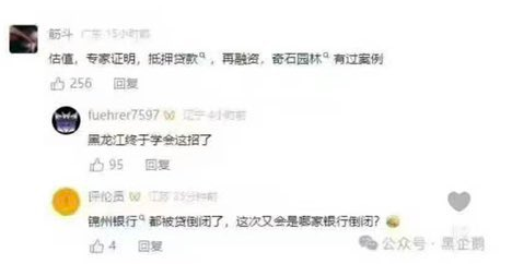 看懂了身边的魔幻项目,就看懂了地方的最后挣扎 看懂了身边的魔幻项目,就看懂了地方的最后挣扎