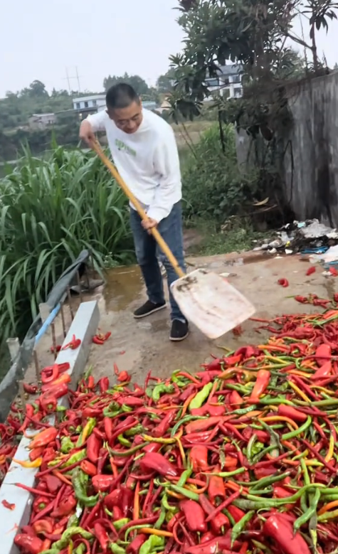 湖南的鱼也能吃辣 湖南的鱼也能吃辣