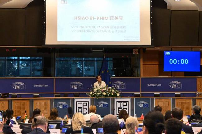 萧美琴惊喜现身欧洲议会 萧美琴惊喜现身欧洲议会