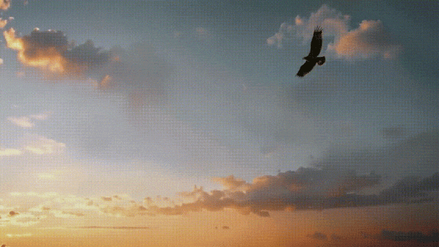 硅谷华人女CEO杀入!全球首家AI电影厂引爆 硅谷华人女CEO杀入!全球首家AI电影厂引爆